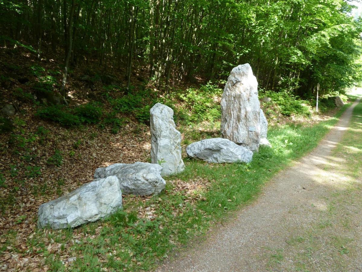 Pension Ferienwohnungen Frey Tännesberg Exteriér fotografie